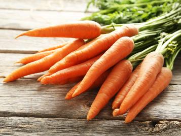 Freshly harvested carrots