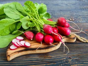 Freshly harvested radishes