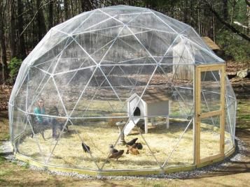 Geodesic aviary