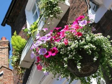 Planting up a hanging basket for summer