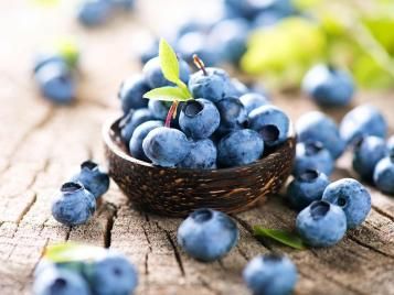 Freshly harvested blueberries