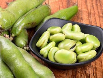 Harvested fresh broad beans