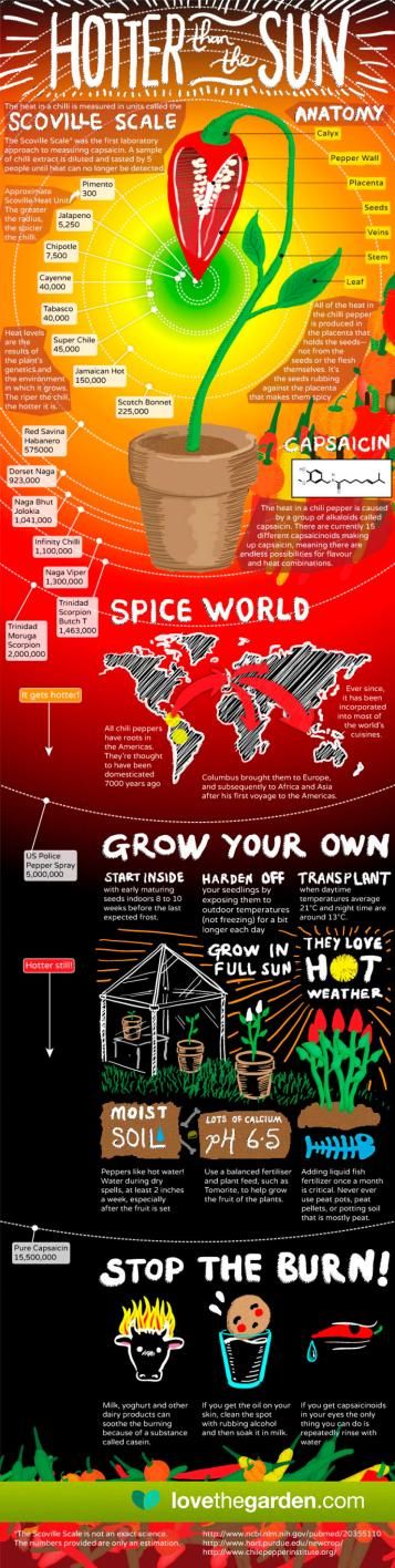 Hotter than the sun infographic