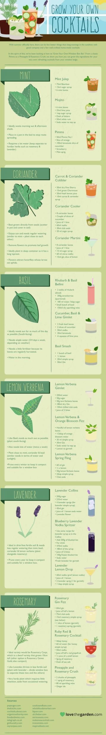 How to grow your own cocktails infographic