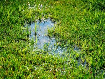 Prolonged waterlogging on a lawn can cause uneven surfaces
