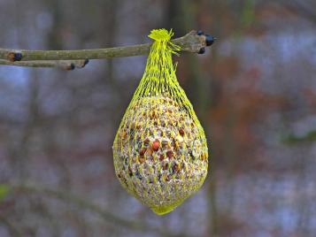 Homemade wild bird food/suet balls