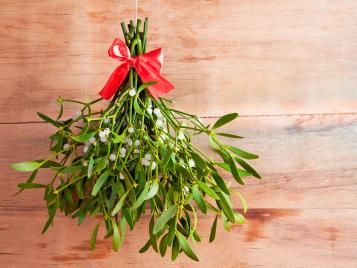 Mistletoe at Christmas