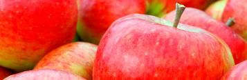 Apples (Malus domestica)