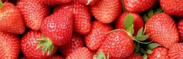 Fruitiers Et Petits Fruits