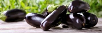 Aubergines (Solanum Melongena)