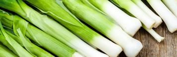 Leeks (Allium ampeloprasum)