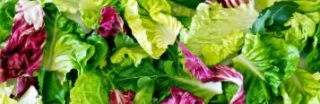 Image for Salade