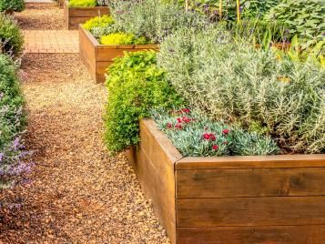 Raised flowerbeds help prevent waterlogging