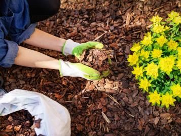 Using decorative garden bark