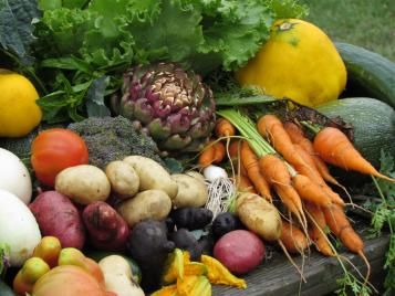 Community harvest