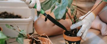 Aanplanten met universele potgrond - Love The Garden
