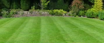 Alles wat je moet weten – Geweldig gazon - I Love My Garden