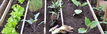 April planting and harvesting guide