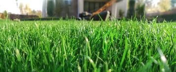 Gazonmeststoffen – Hoe moet ik het gazon voeden - I Love My Garden