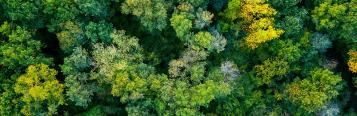 Environmental and Social Governance certification