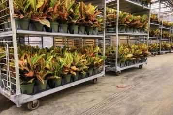 Scotts Professional Premium Potting Mix