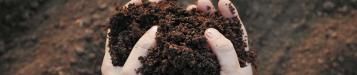 Duurzame productontwikkeling - een hand met potgrond