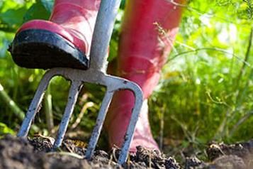 Comment créer son premier potager ? 