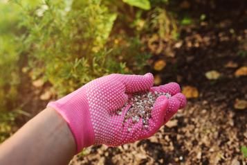 lawn fertilisers