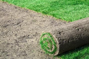 Laying a new lawn