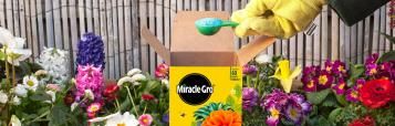 Miracle-Gro All Purpose Soluble Plant Food being poured