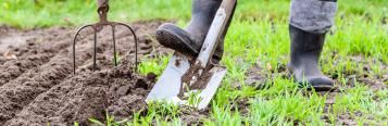 May planting and harvesting guide
