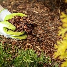 Mulch om onkruid te vermijden op braakliggende terreinen