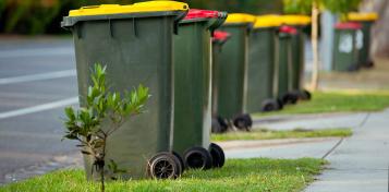 Recycle bins