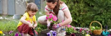 Staying safe while you garden: how to minimise health risks