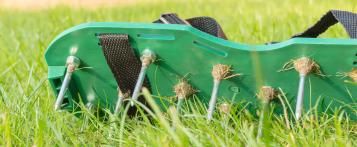 Scarification de la pelouse - pelouse saine - I Love My Garden