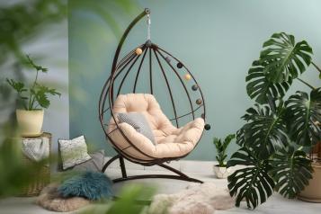 Plantes D’Intérieur 