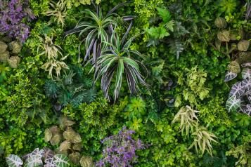 Le jardin vertical