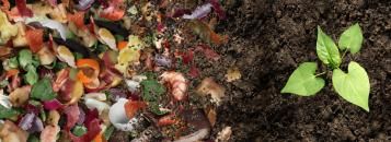 zelf compost maken