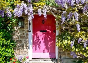 Garden Climbers | David Domoney | Miracle-Gro