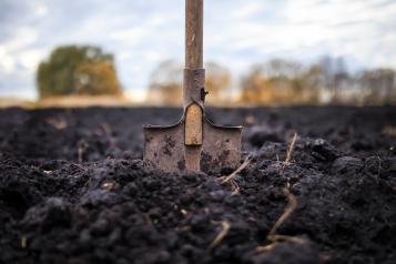 Enriching your garden soil