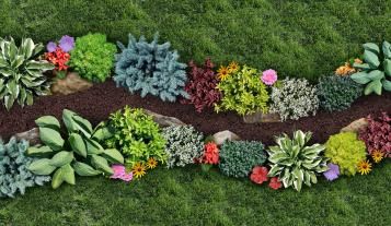 Feeding plants and borders