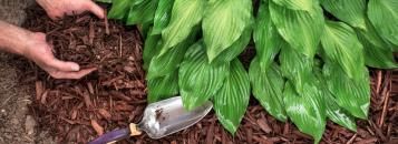 wat is mulch