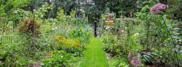 natuurlijke tuin
