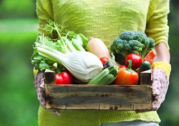 Corporate Sustainability Report 2021 | Evergreen Garden Care