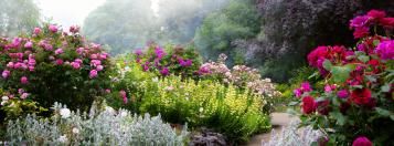 borders aanleggen in de tuin
