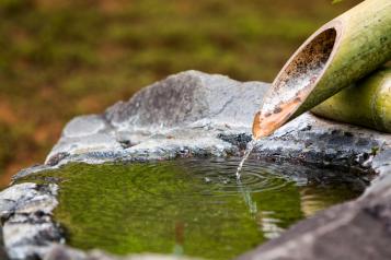 Jardin à la japonaise : La Pause Jardin, tout sur les jardins et