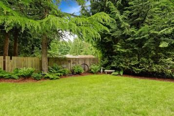 The simple solution for killing lawn weeds - Weed, Feed & Green-Up