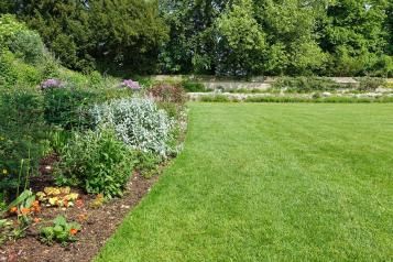 Photo d’une pelouse bien égale et entretenu dans un jardin avec des massifs fleuris.