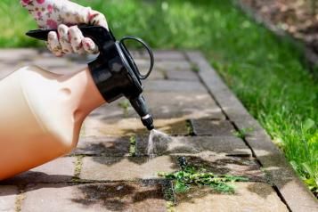 Top ways to treat weeds