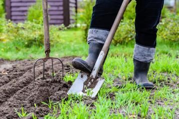 Most searched for gardening questions - Love the Garden